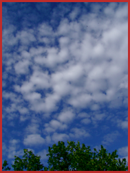 Nuages en moutons