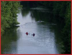 Canoës