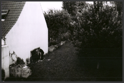Dans le jardin des Locqueneux
